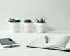 three white ceramic pots with green leaf plants near open notebook with click pen on top