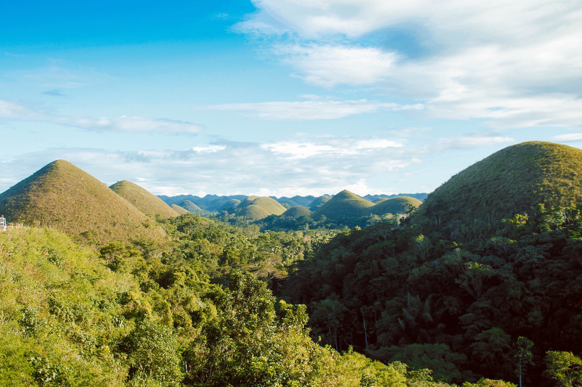 scenic view of hills surrounded by trees
